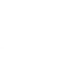Vida Tequila
